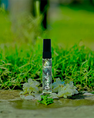 One Million Inspired Perfume Tester in 5ml (Men)